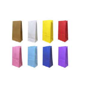 Bolsa de papel x10u