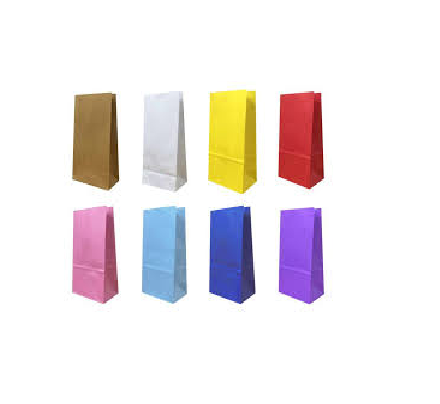 Bolsa de papel x10u